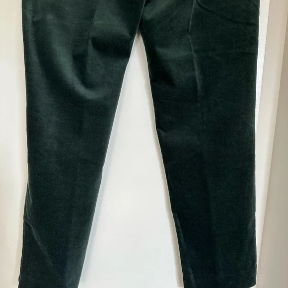 J. Jill Evergreen Velvet Dark Green Side Zip Pants NWT - Picture 6 of 12